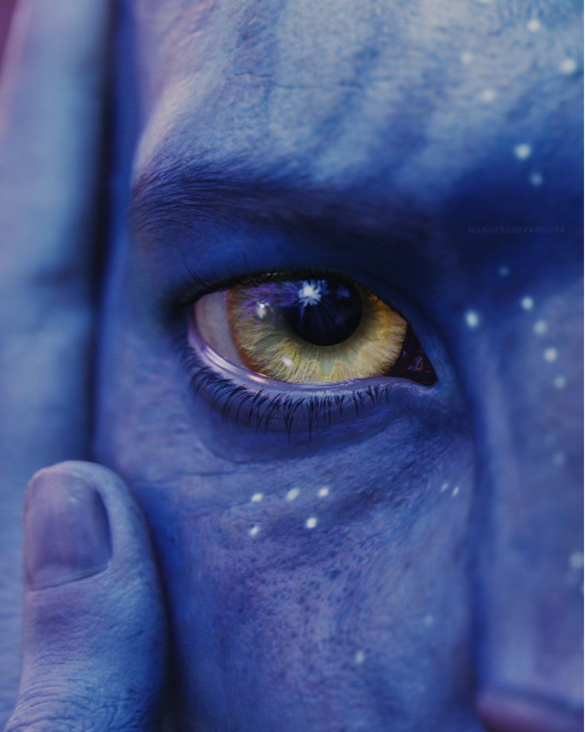 Capa de Avatar