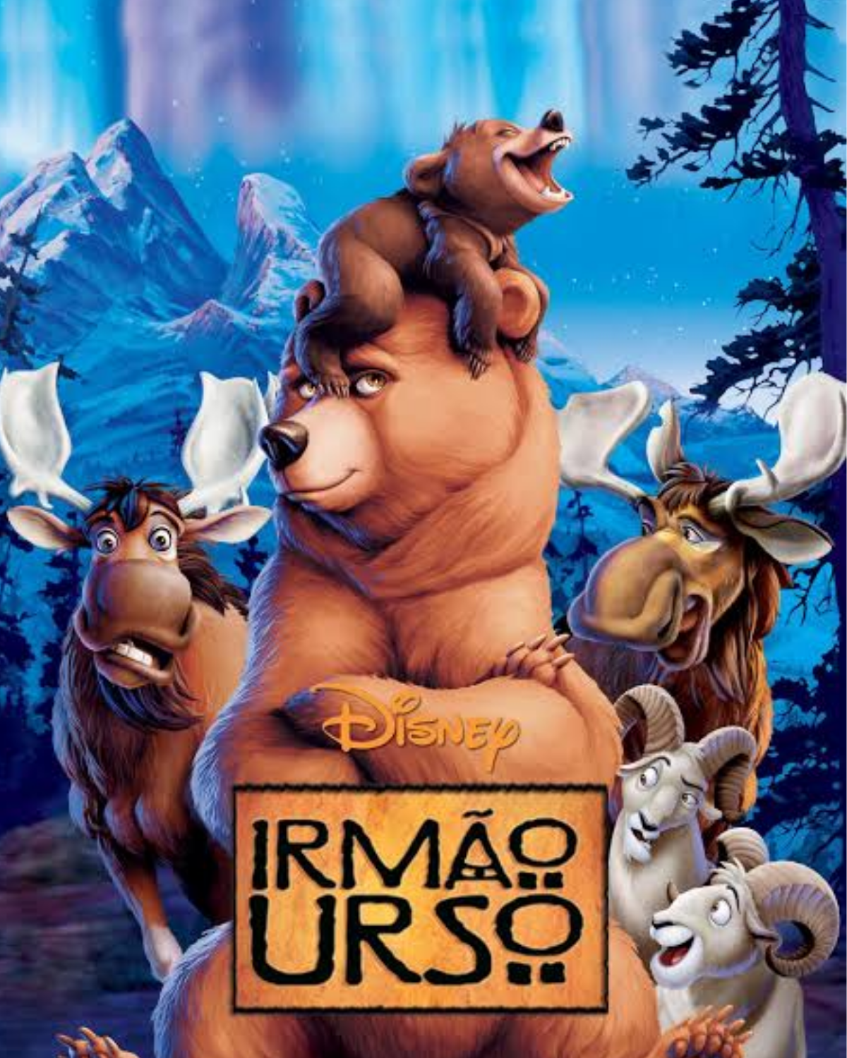 Capa de Irmão Urso